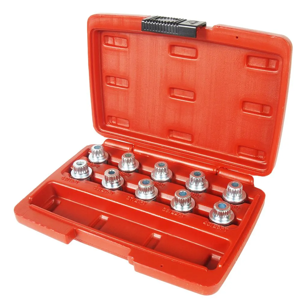 Набор головок для секреток колесных дисков (BMW) JTC купить